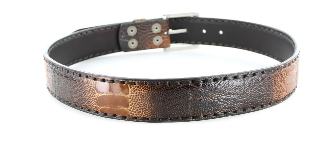 1016 Exotic Mehrfarbig Ledergürtel - Strauss 4 1016 Exotic Mehrfarbig Ledergürtel - Strauss – Bild 4