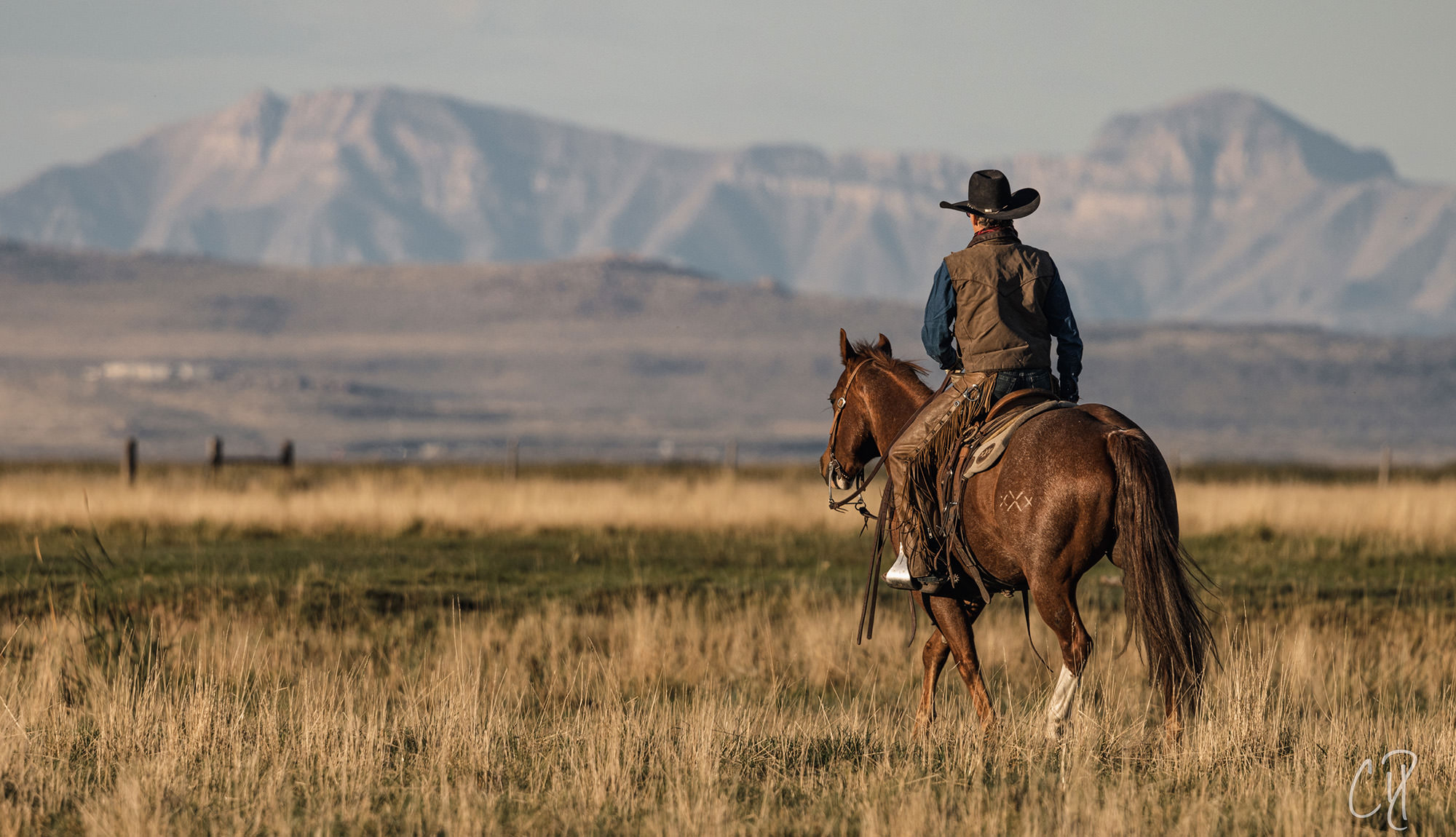Verkaufsgeschäft Bootspire -Verkaufsgeschäft Bootspire Herring Custom